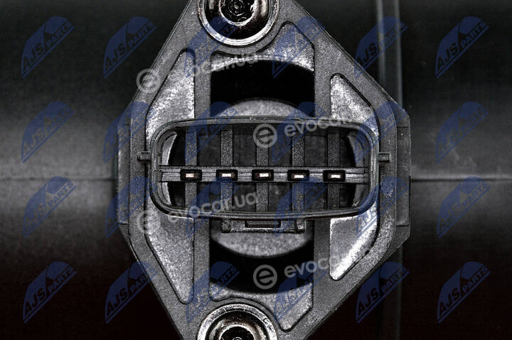 NTY EPP-NS-002