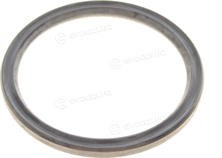 Elring 794.700