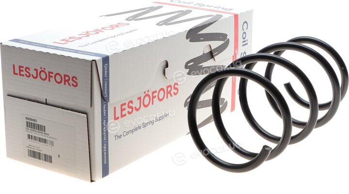 Lesjofors 4008485
