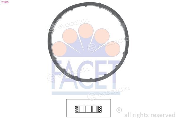 Facet 7.9555