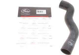 Gates 05-3269