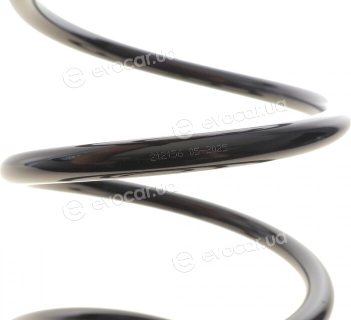 Solgy 212156