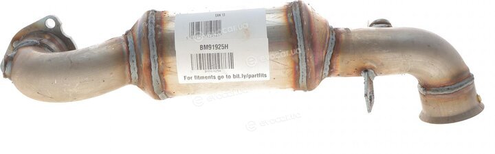 BM Catalysts BM91925H