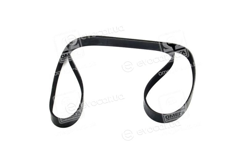 Dayco 6PK1555
