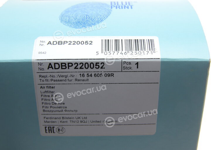 Blue Print ADBP220052