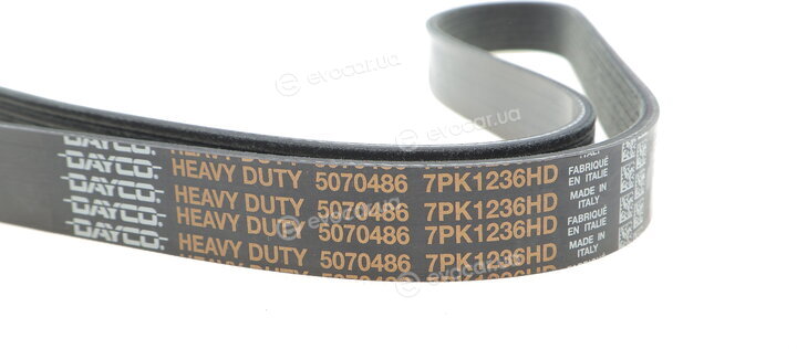 Dayco 7PK1236HD