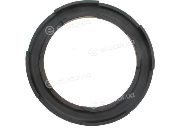 GSP 538959