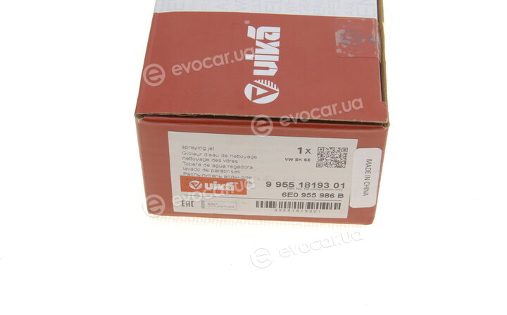 Vika 99551819301