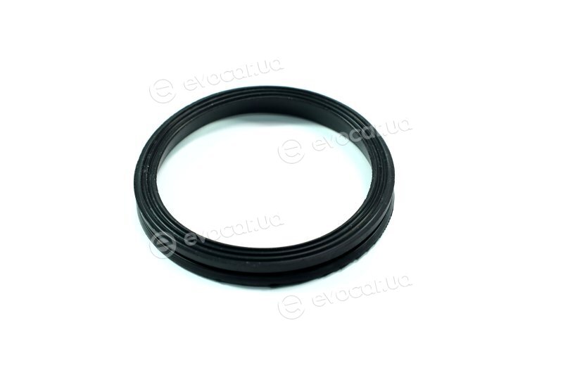 Elring 302.690