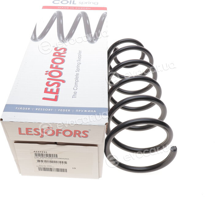 Lesjofors 4237231