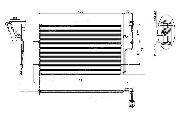 AVA MZ5186