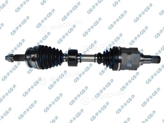 GSP 259661