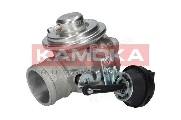 Kamoka 19042