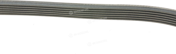 Continental 6PK2535
