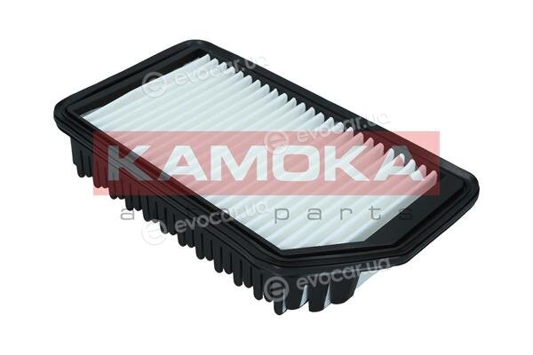 Kamoka F246901