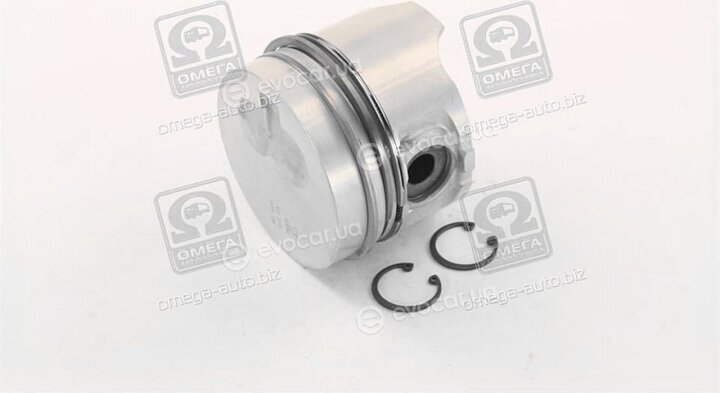 Mahle 021 66 02