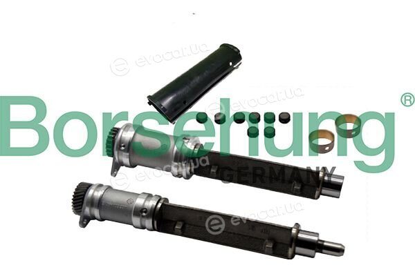 Borsehung B12709
