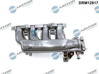 Dr. Motor DRM12817