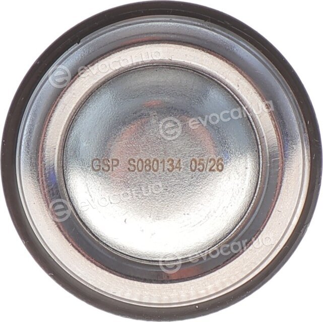 GSP S080134