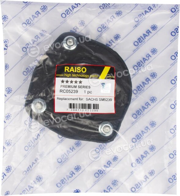 Raiso RC05239