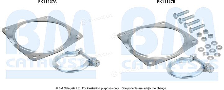 BM Catalysts FK11137