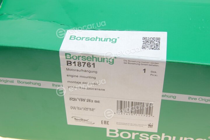 Borsehung B18761