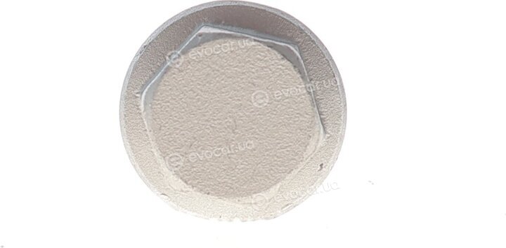 Solgy 204207