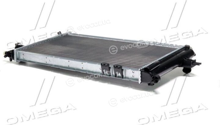AVA OLA2294