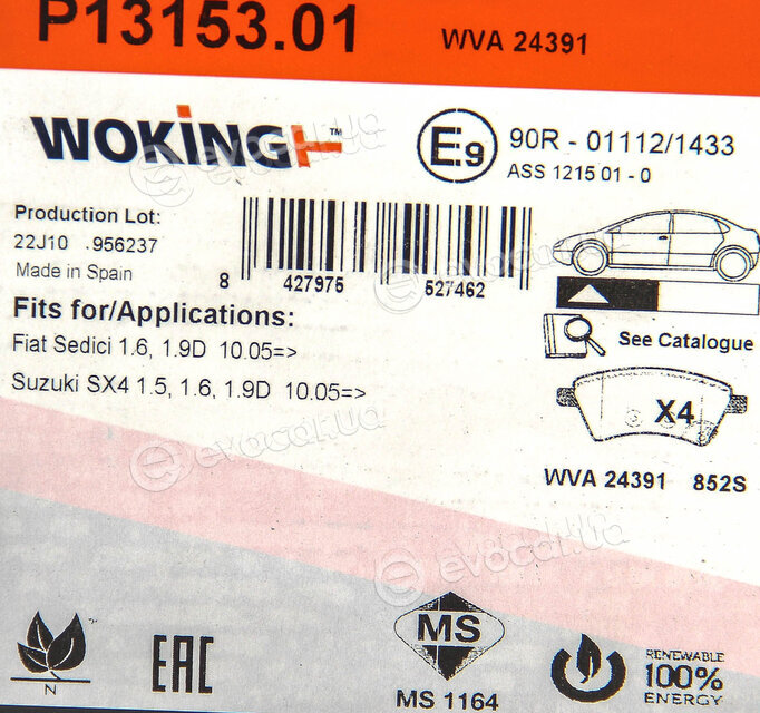 Woking P13153.01