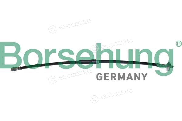 Borsehung B10953