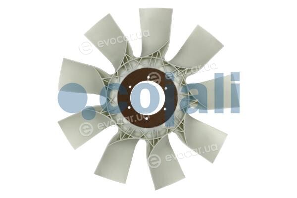 Cojali 8521634