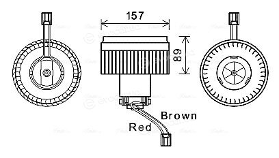 Ava Quality VO8177