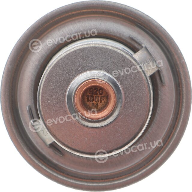 Motorad 247-82K