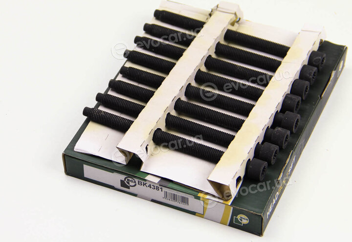 BGA BK4381