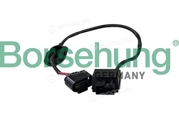 Borsehung B12991