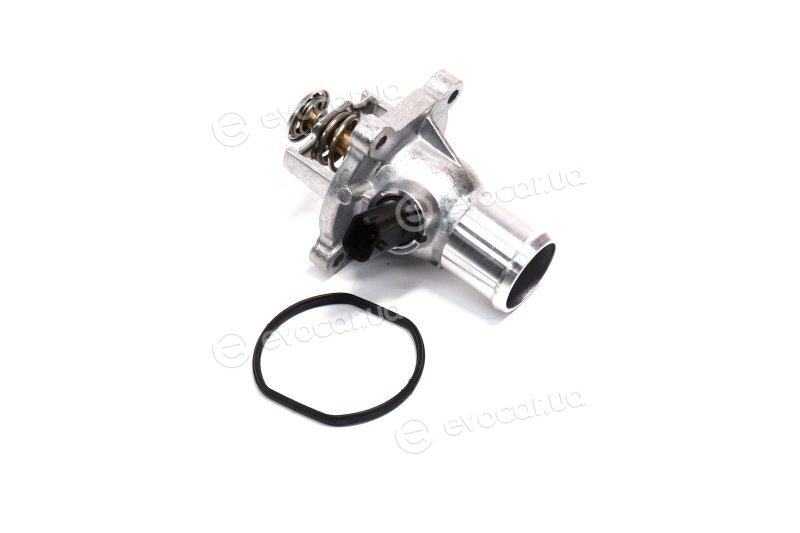 Wahler / BorgWarner 4431.105D