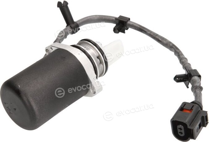 BorgWarner DS118613