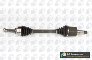 BGA DS2318L