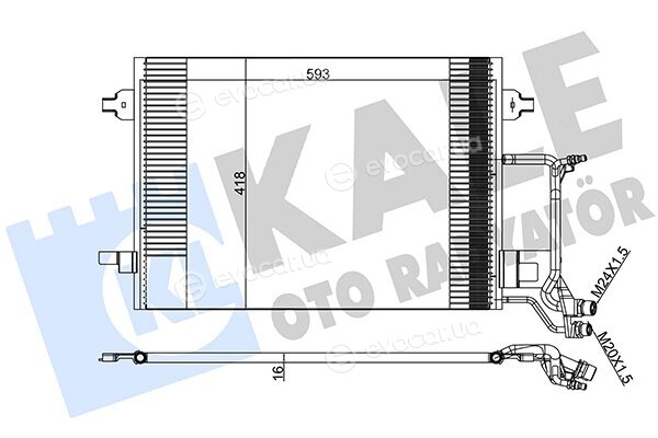 Kale 390800