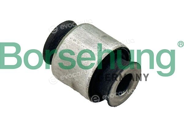 Borsehung B13407