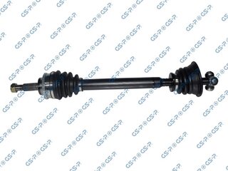 GSP 250029