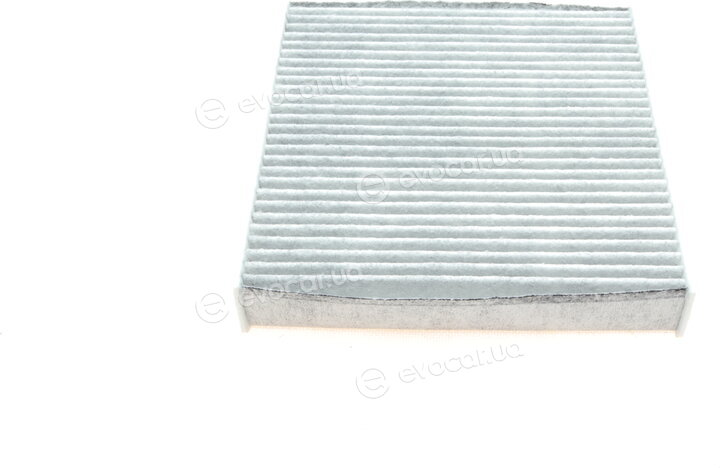 Blue Print ADBP250030