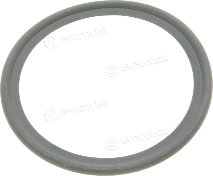 Elring 215.110