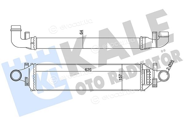 Kale 352020