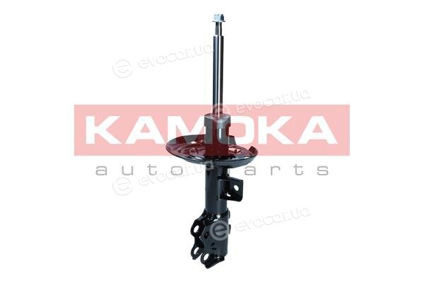Kamoka 2001103