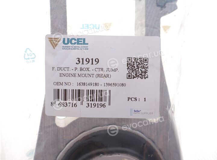Ucel 31919