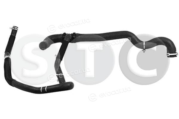 Metalcaucho / STC T497402