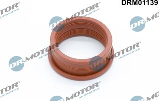 Dr. Motor DRM01139