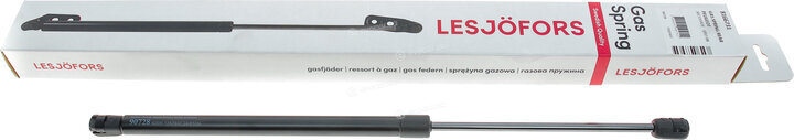 Lesjofors 8166731