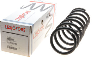 Lesjofors 4295857